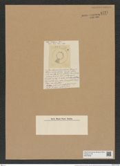 Coscinodiscus liocnetrum Ehr. (de-Toni-Nr.: Genus 202, Species 5006) Zeichnungen Sammlung Grunow Nr. 8721 (NHMW-BOT-W0378296)